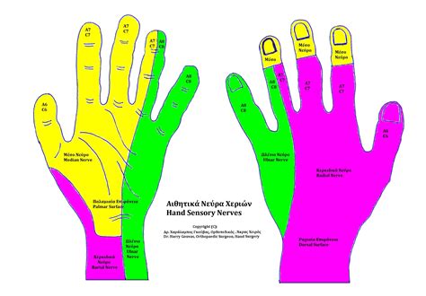 Which finger is the most sensitive finger?