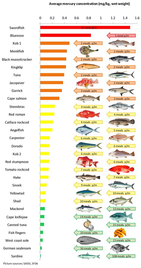 Which fish is worst mercury?