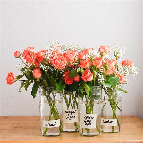 Which flowers last the longest in a vase?