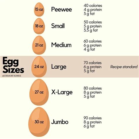 Which food is equal to egg?