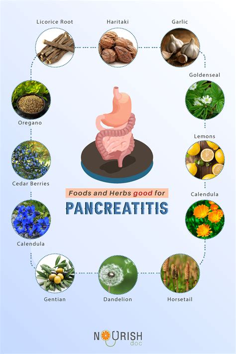 Which fruit is best for pancreas?
