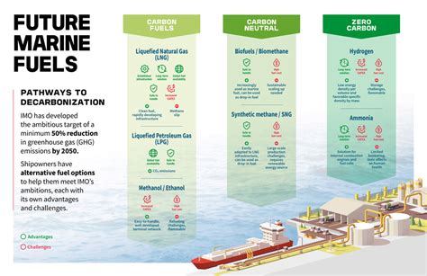 Which gas is fuel for future?