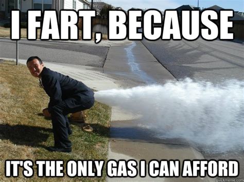 Which gas is most in fart?