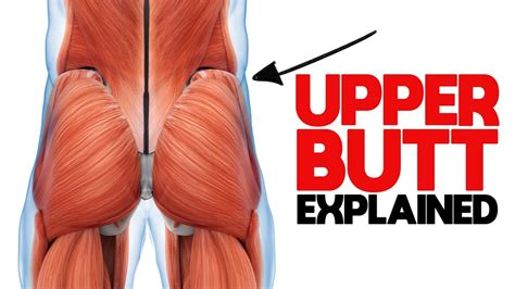 Which glute muscle is the hardest to grow?