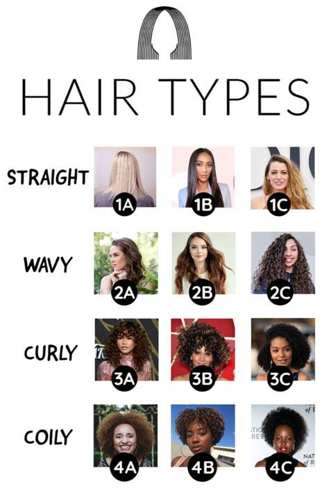 Which hair type is most common?