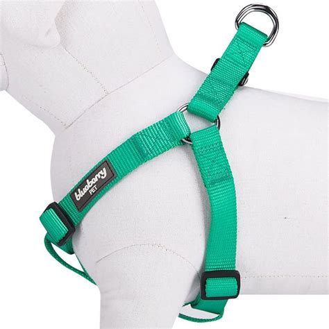 Which harness type is best?