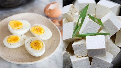 Which has more fat egg or paneer?