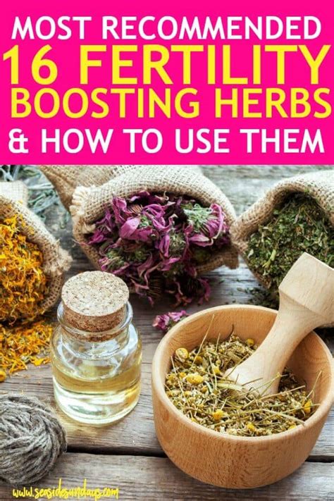 Which herb is best for fertility?
