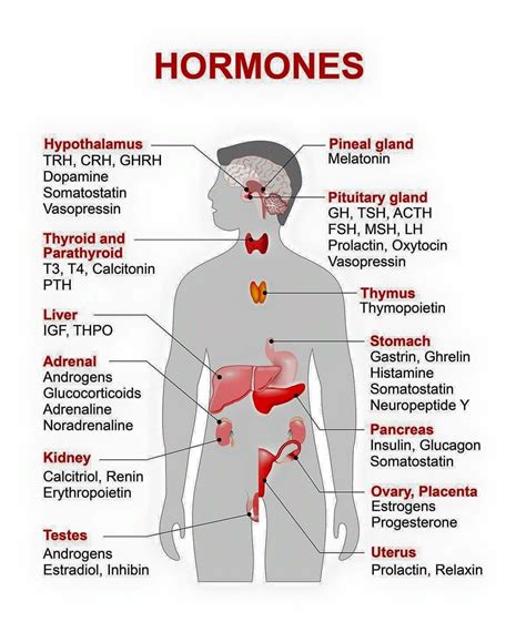 Which hormone is called beauty hormone?