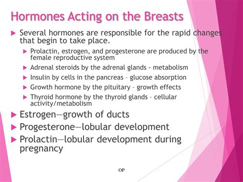 Which hormone is responsible for breast growth?