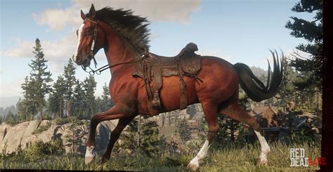 Which horse to buy RDR2?