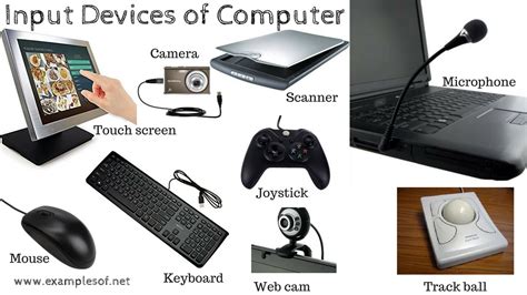 Which input device is used?