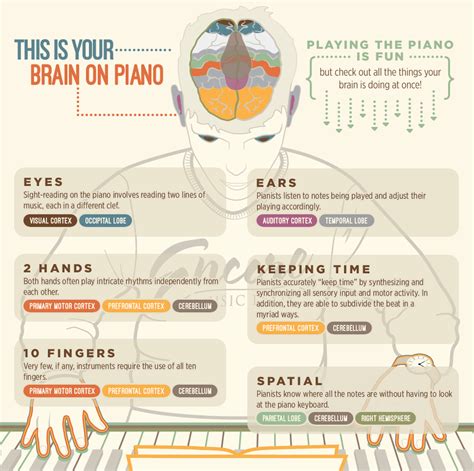 Which instrument is good for brain?