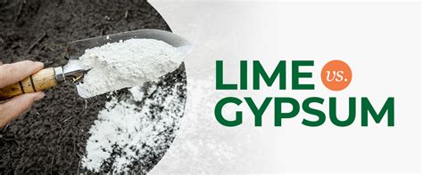 Which is better lime or gypsum?
