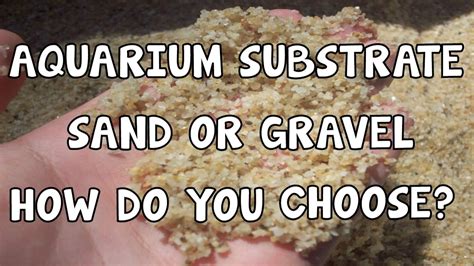 Which is better sand or gravel for aquarium?