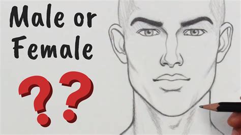 Which is harder to draw male or female?
