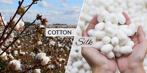 Which is more comfortable silk or cotton?