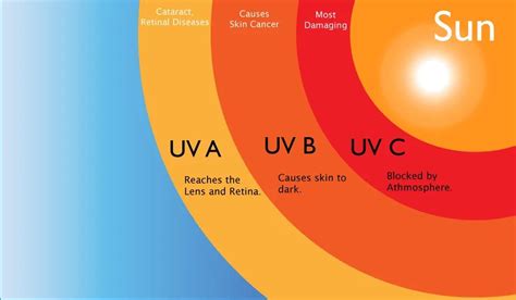 Which is more harmful UVB or UV C?