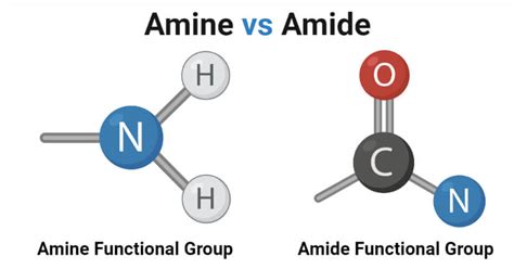 Which is more polar amine or amide?