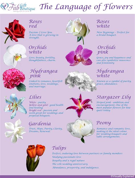 Which is not a true flower?
