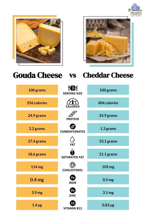 Which is softer Gouda or cheddar?
