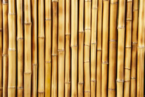 Which is strongest wood or bamboo?