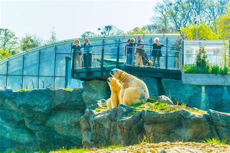 Which is the country's best zoo?
