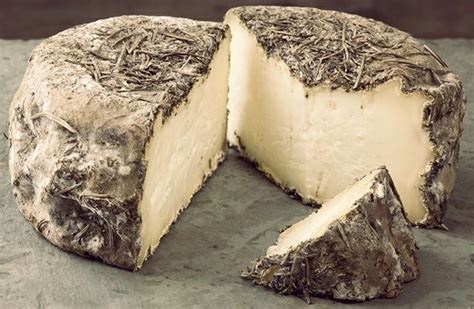 Which is the oldest cheese in the world?