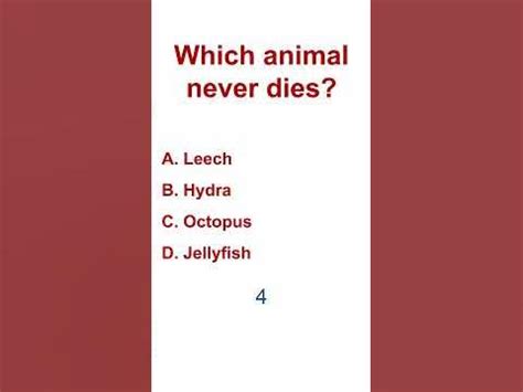 Which land animal never dies?