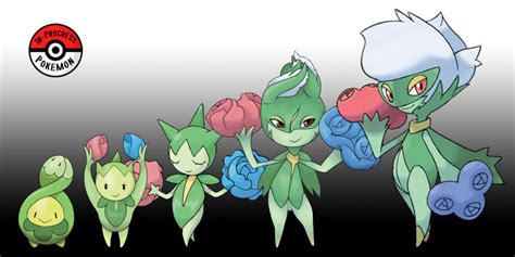 Which level does Budew evolve?