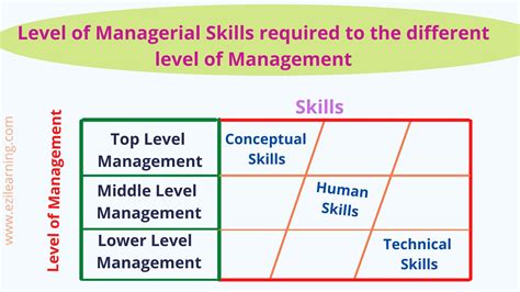 Which level manager needs more human skills than technical skills?