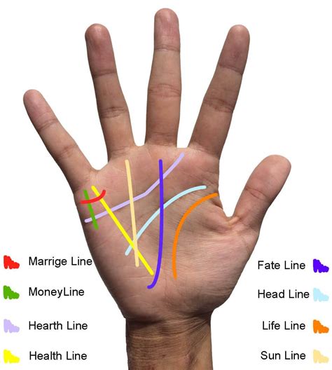 Which line on your hand is your love life?