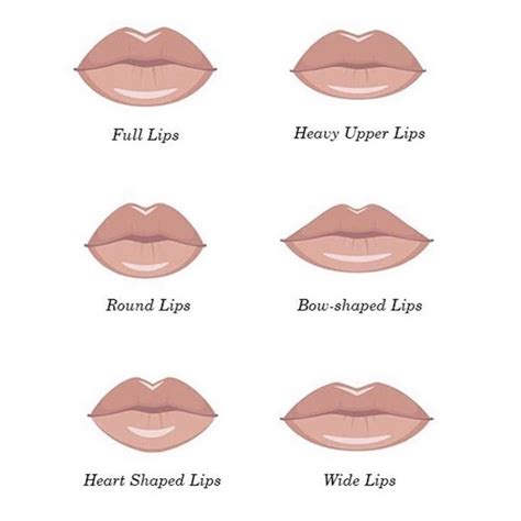 Which lip shape is cute?