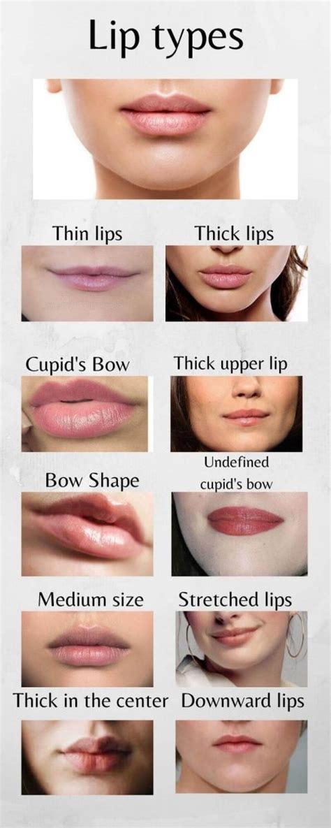 Which lip shape is most attractive?