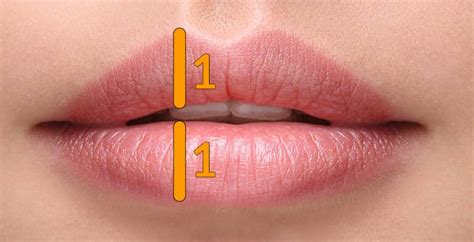 Which lip size is attractive?