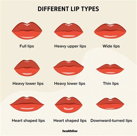 Which lip size is best for kissing?