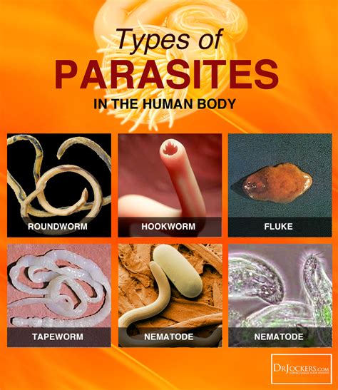 Which meats have the most parasites?