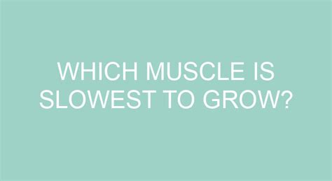 Which muscle is the slowest to grow?