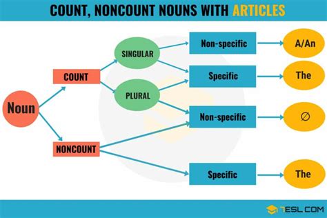 Which nouns are not preceded by an article?