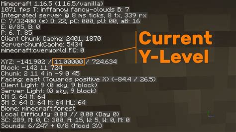 Which number is Y level in Minecraft?