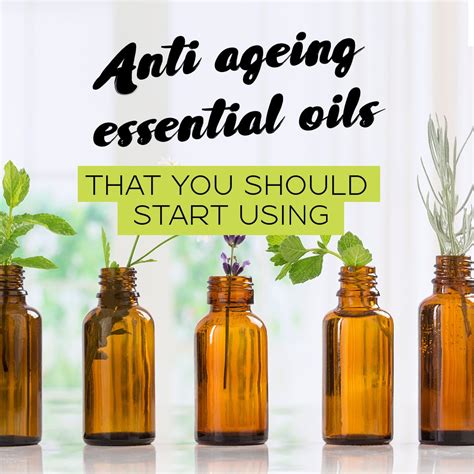 Which oil is best for anti aging skin?