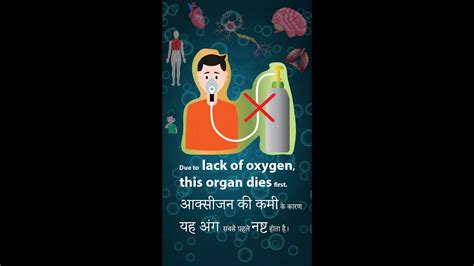 Which organ dies first without oxygen?