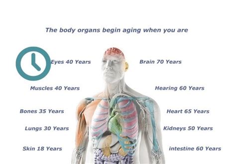 Which organ does not grow with age?