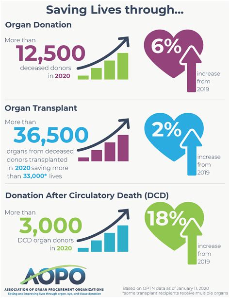 Which organ donated are the most successful?