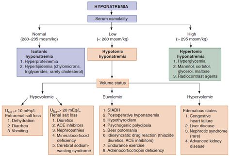Which organ is most affected by hyponatremia?