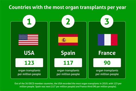 Which organ is transplanted the most?