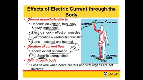 Which part of human body can produce electricity?