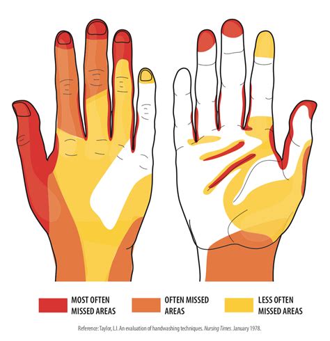 Which parts of hands are missed when washing?