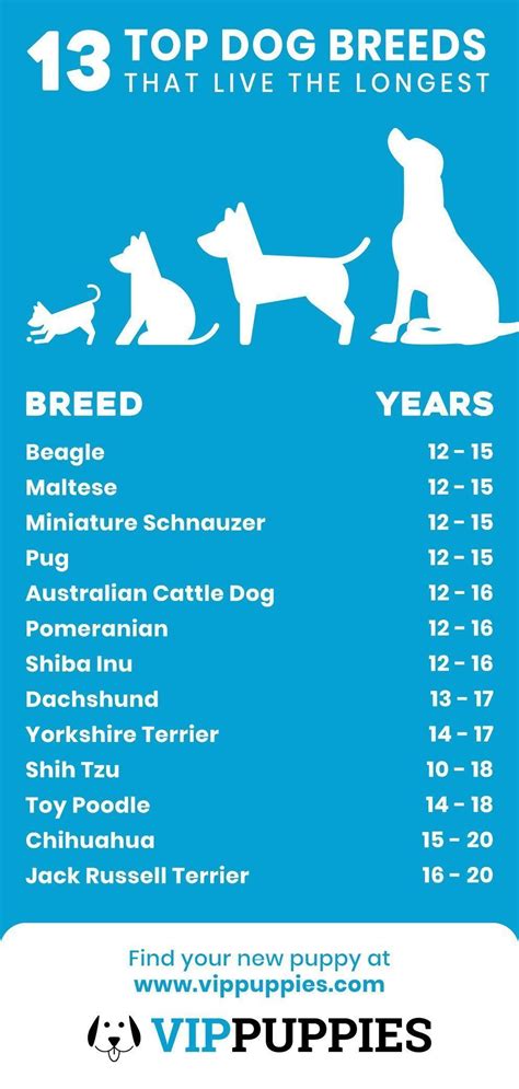 Which pet can live the longest?
