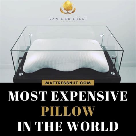 Which pillow is most expensive?